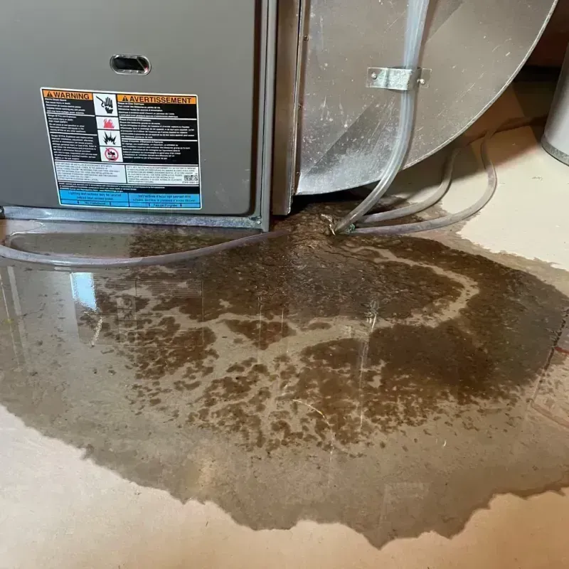 Appliance Leak Cleanup in Hickory County, MO